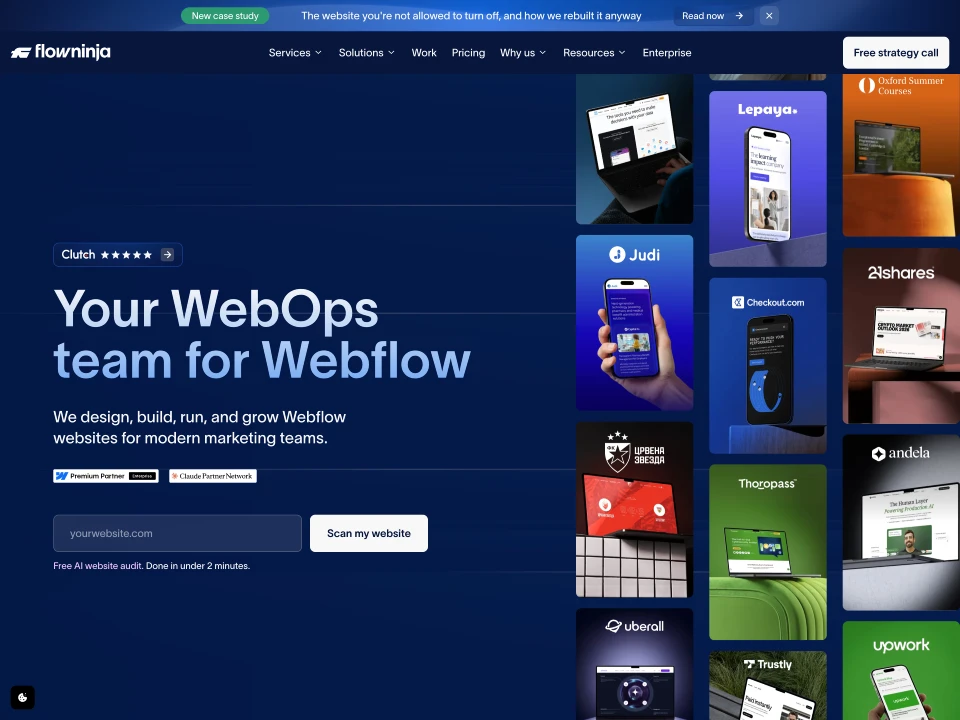 Webflow AEO/GEO Agency - Flow Ninja