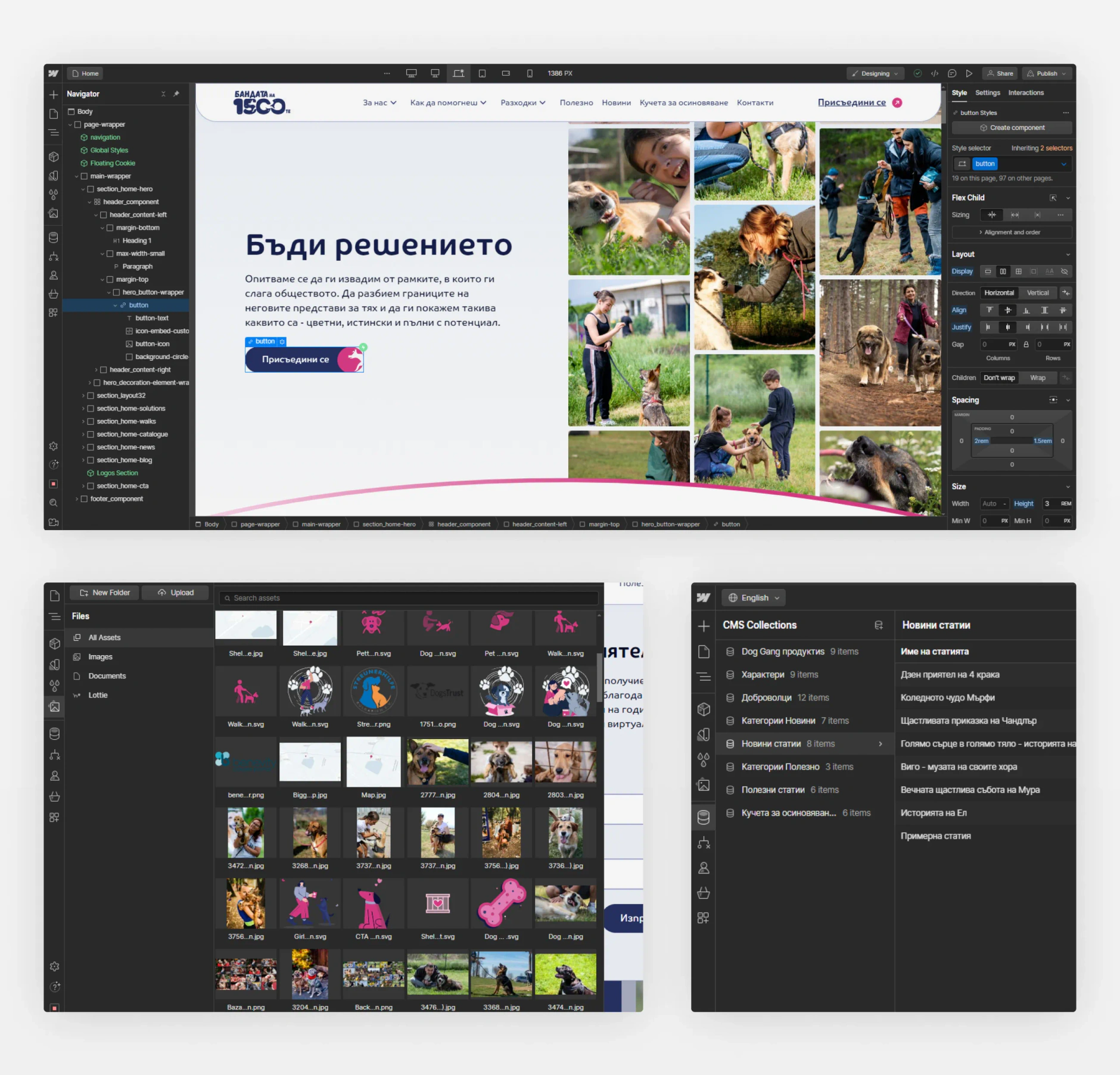 1500 Dog Gang site in the Webflow Designer with the Navigator panel, plus the asset manager and CMS collections