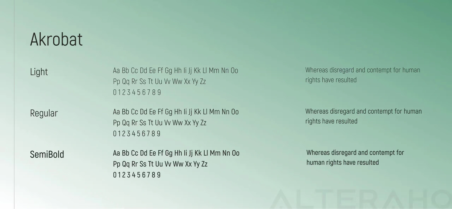 Altera Sapareva Banya Brainding: Typography