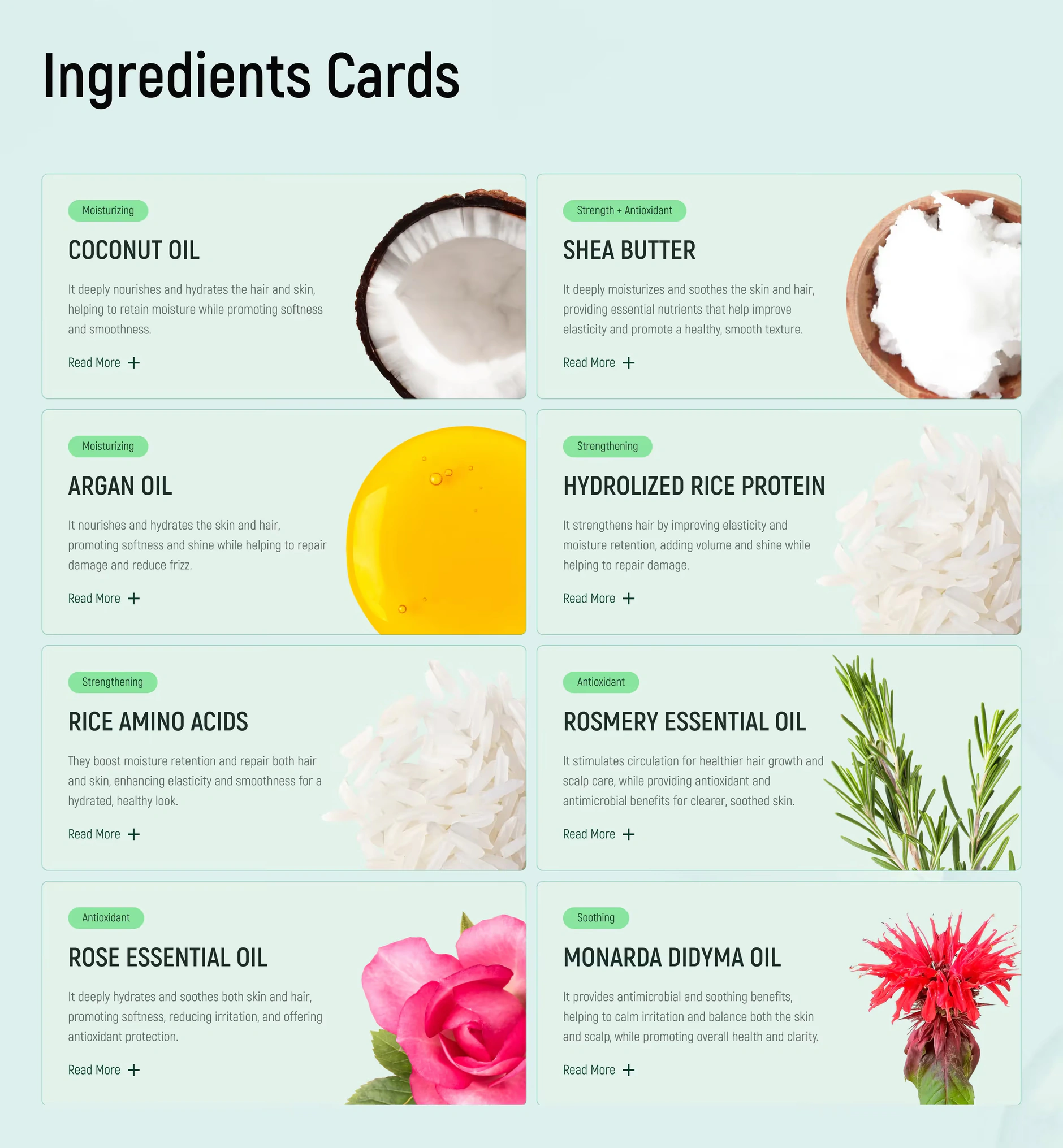 BamboEarth Branding: Ingredients Cards