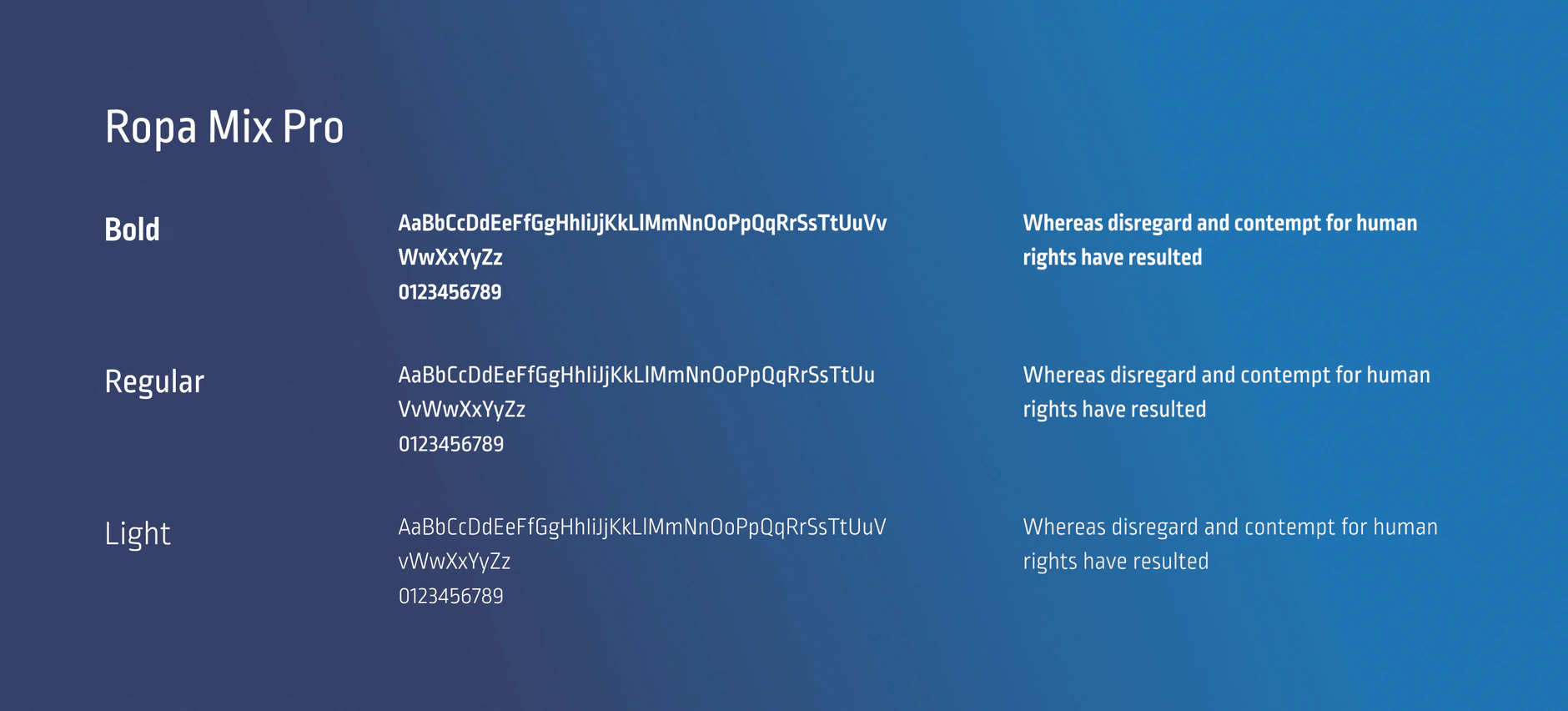 CreditMall typography sheet showing the Ropa Mix Pro typeface in bold, regular and light with sample paragraphs