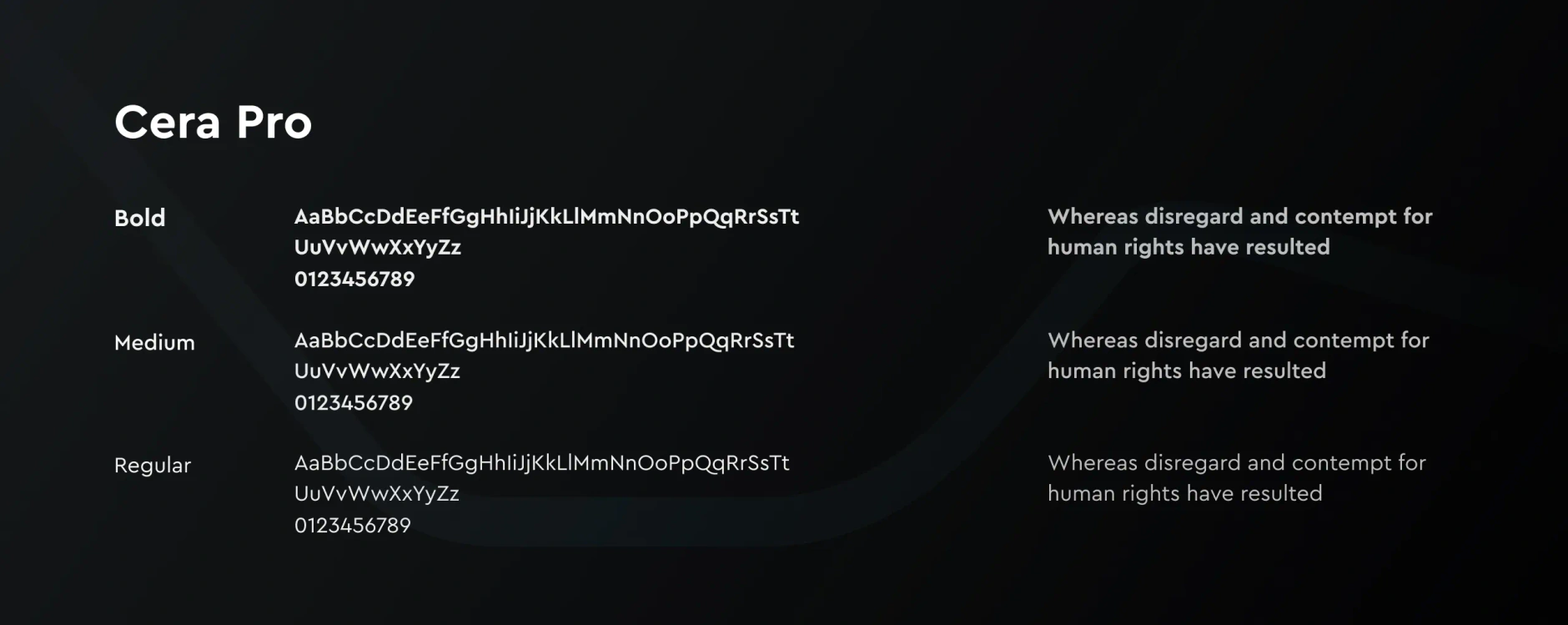 Ergomotion Plus typography sheet showing Cera Pro in bold, medium and regular weights on a dark background