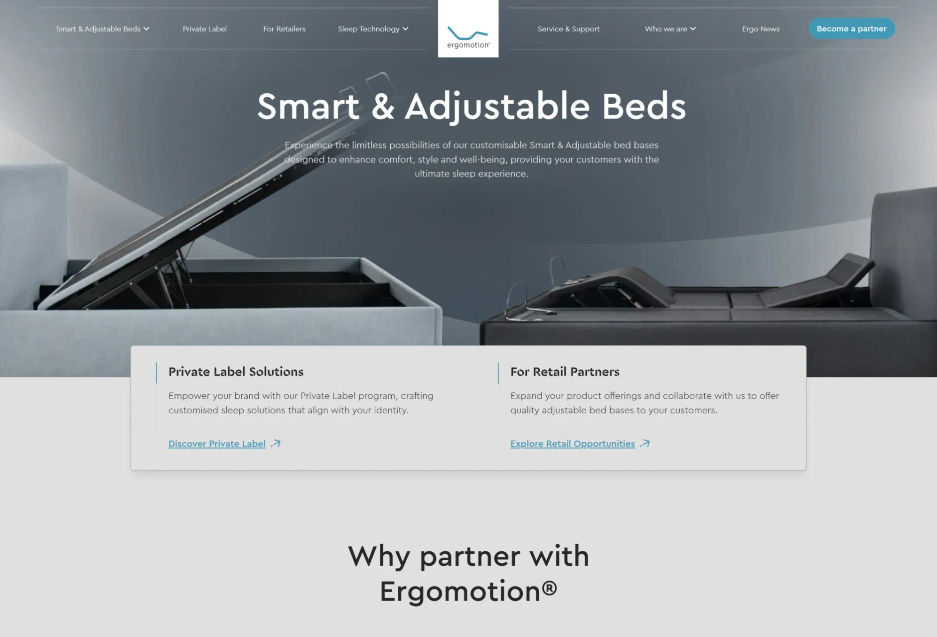 The Ergomotion website after the redesign