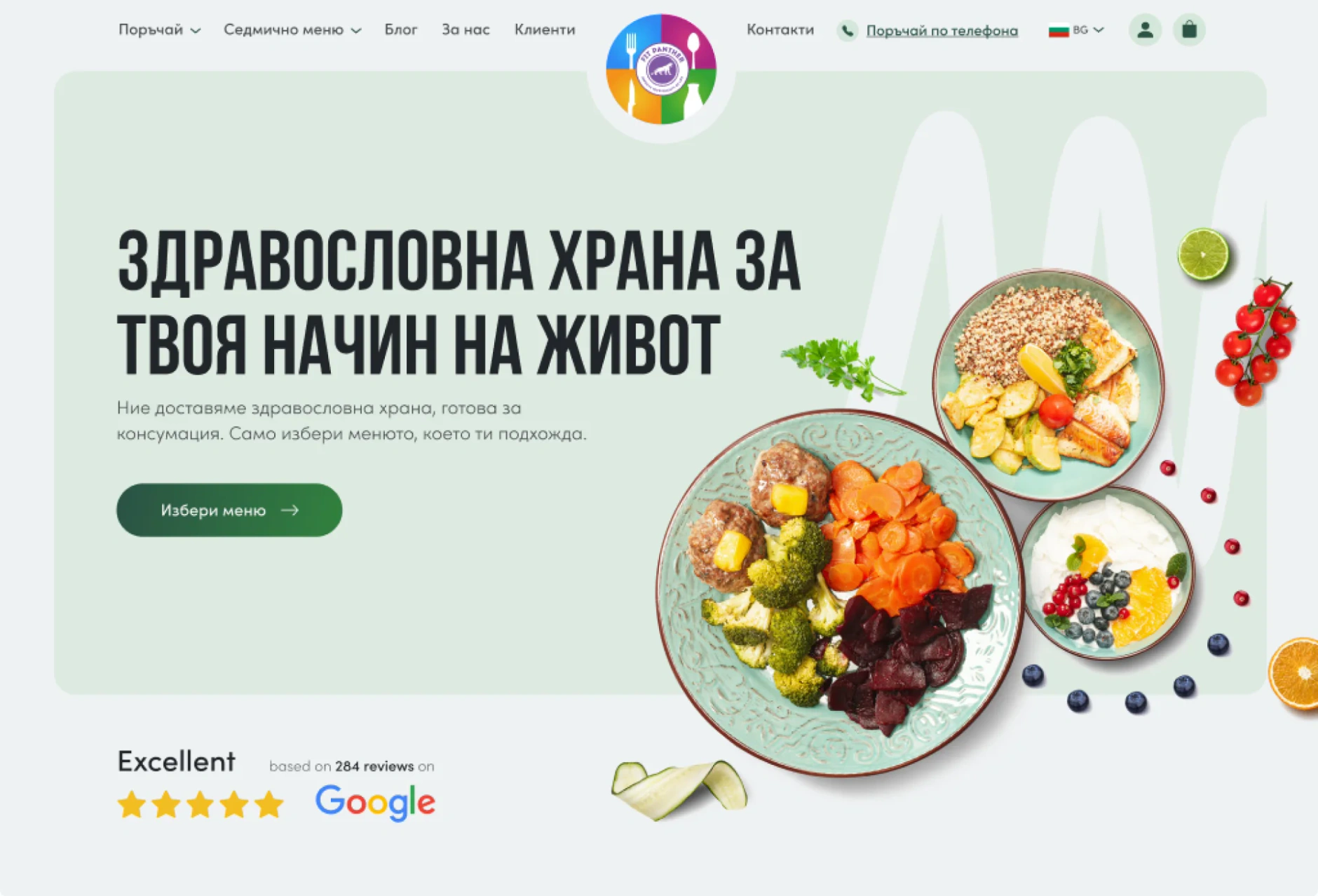 The Fit Panther website after the redesign