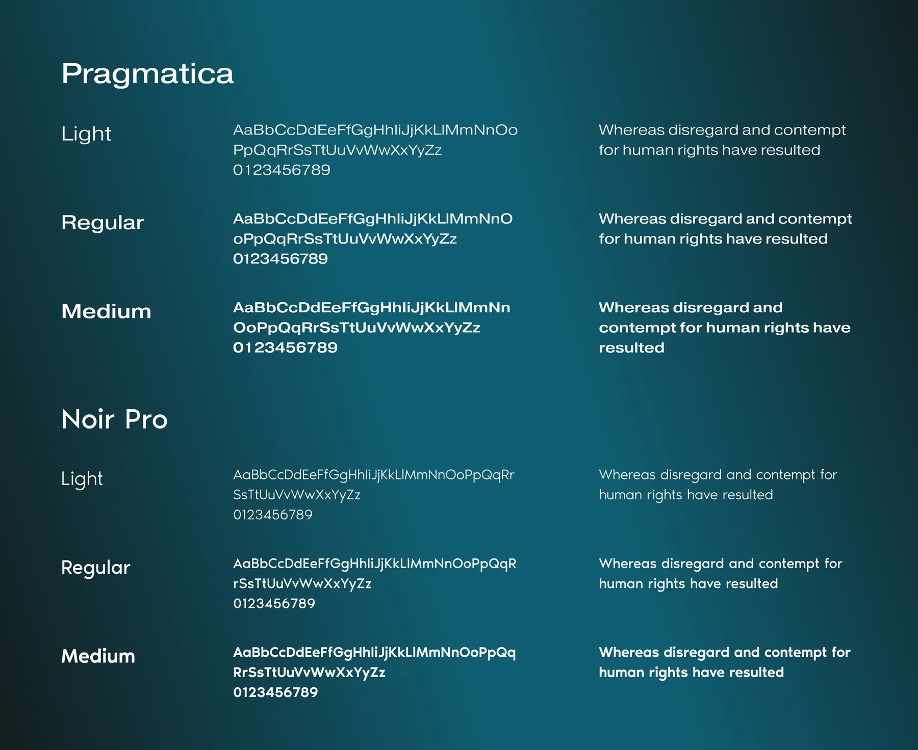 Fujipoly typography: the Pragmatica and Noir Pro typefaces shown in light, regular and medium weights on a deep teal background