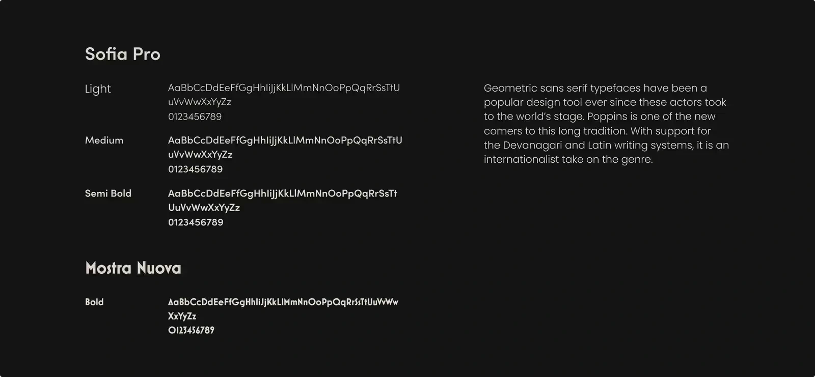 Fonts used for HomeAbroad's website