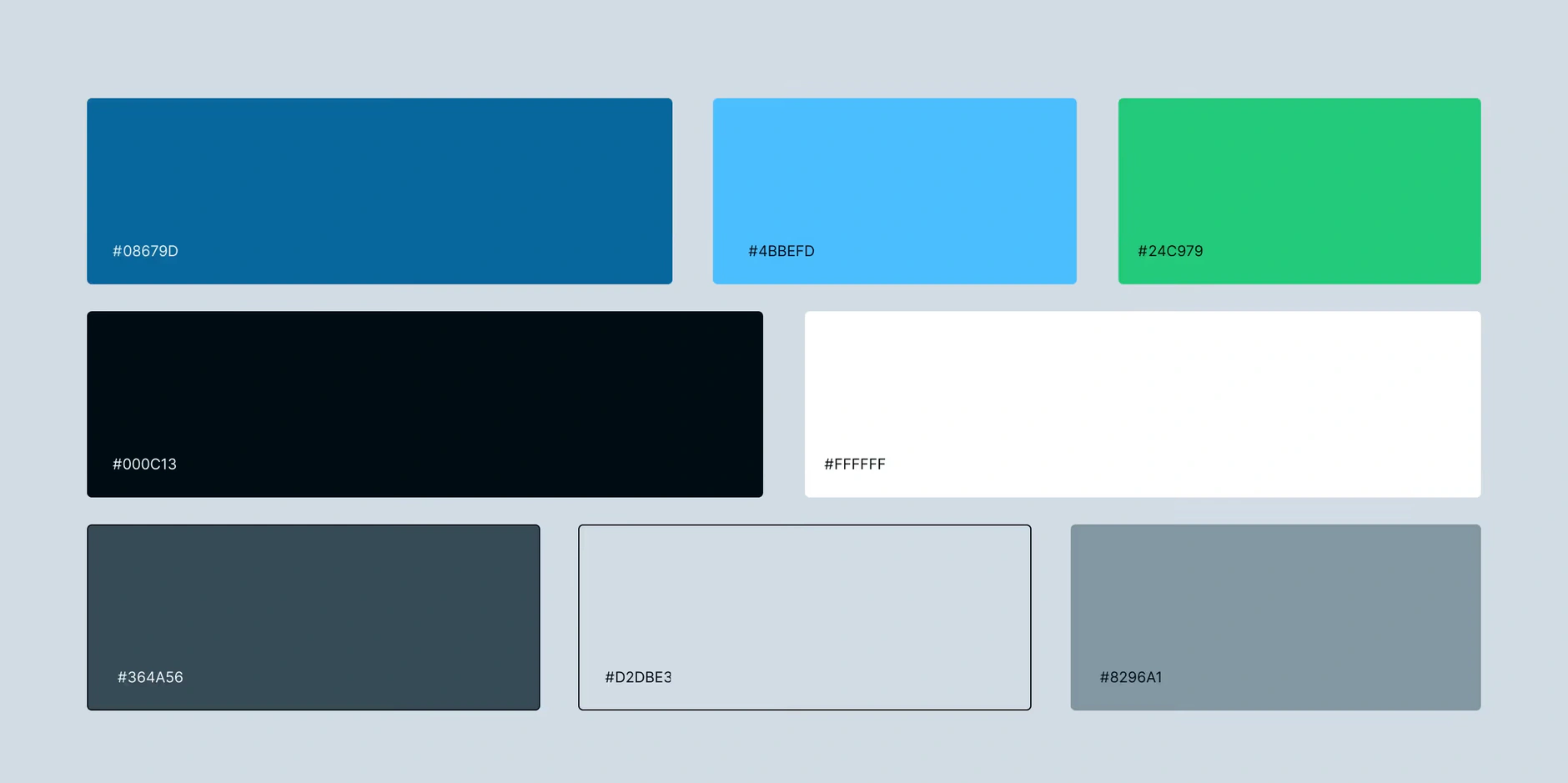 Modi Branding: Color Palette