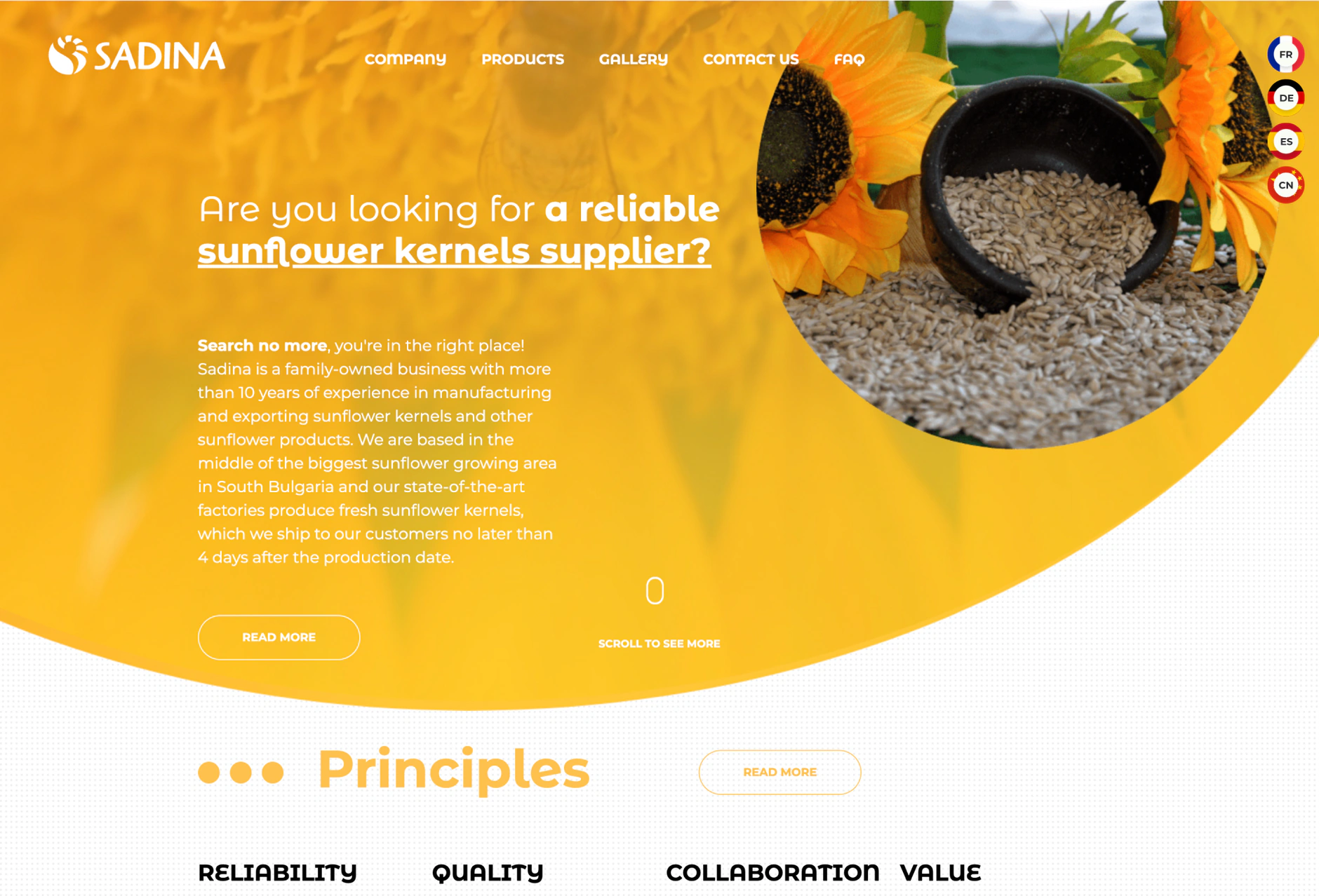 The Sadina website before the redesign