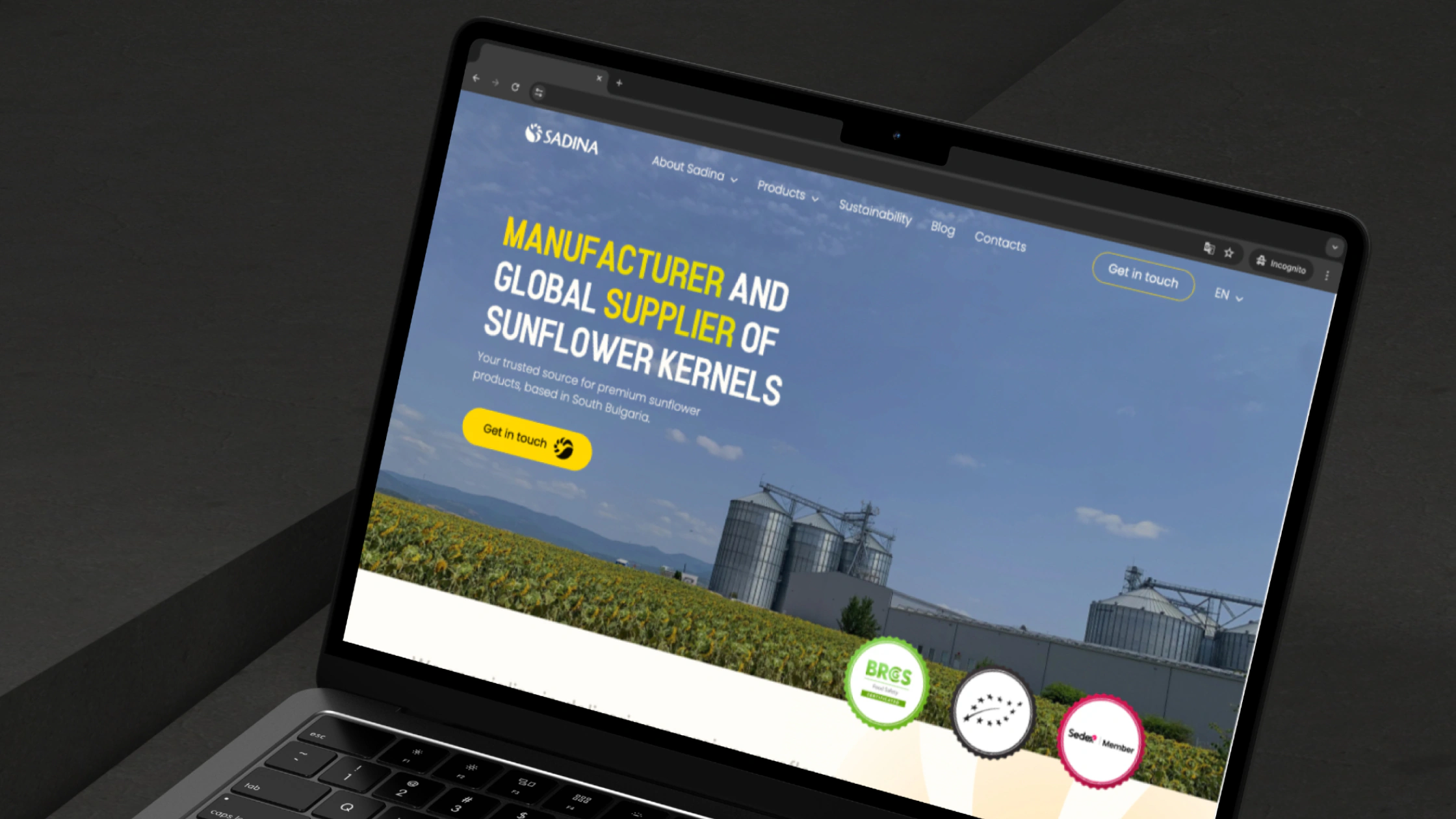 The Sadina website on a laptop