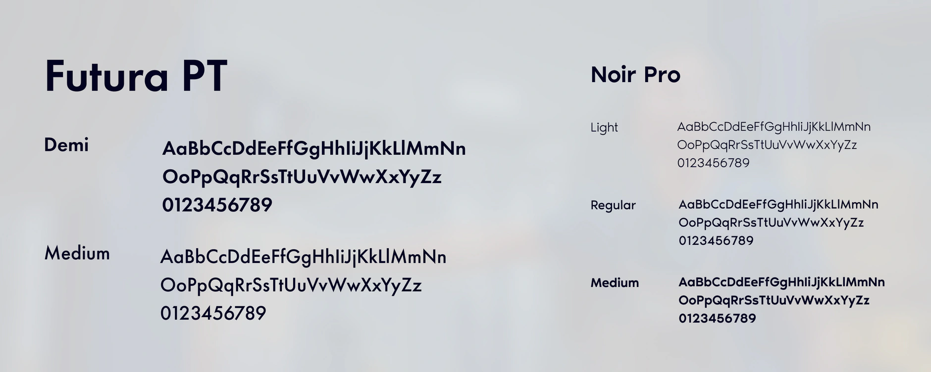 Technotest typography sheet pairing Futura PT in Demi and Medium with Noir Pro in Light, Regular and Medium