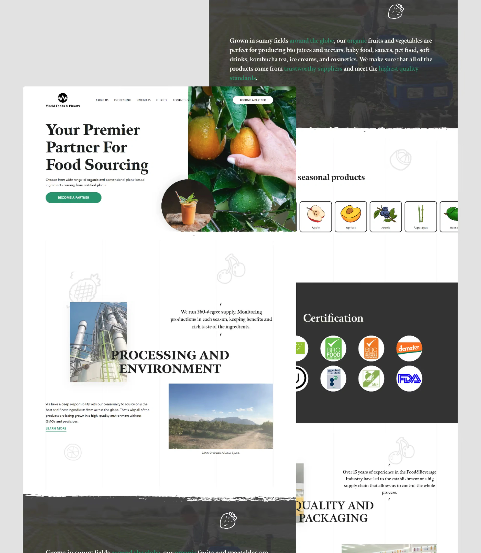 World Foods And Flavors' website screenshot