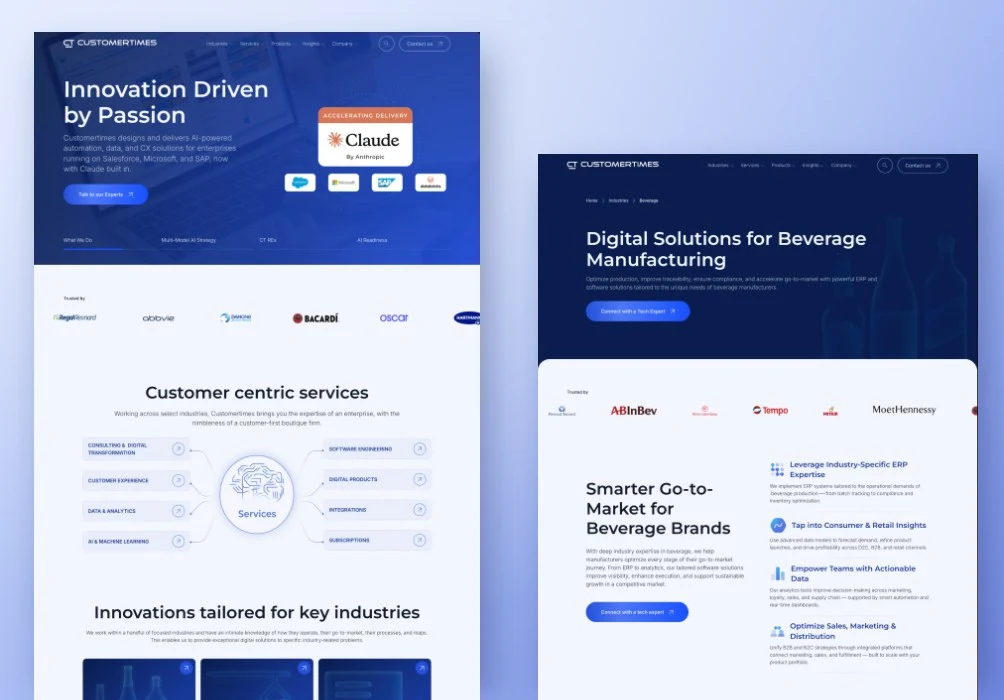 Customertimes website