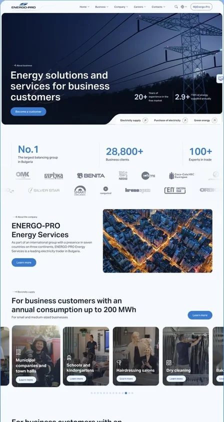 An Energo-Pro page we built, on a phone